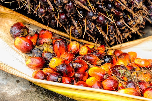 aporte nutricional del aceite de palma