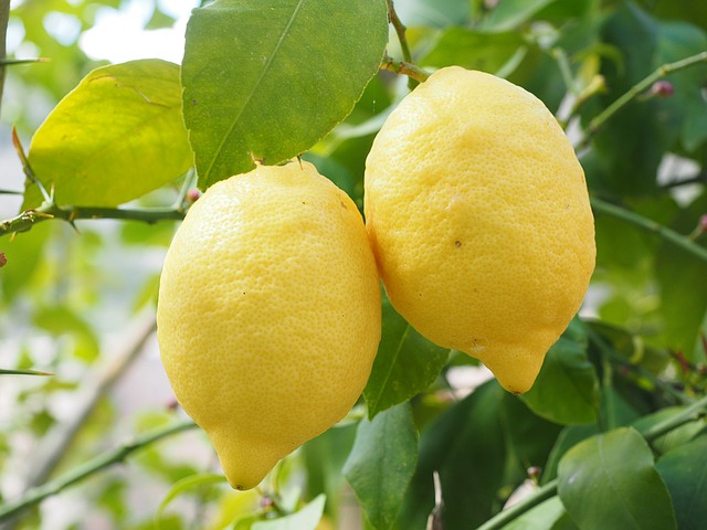 Aporte nutricional del limón