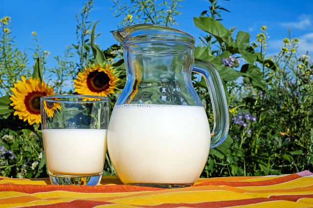 Leche en polvo entera: Propiedades nutricionales, calorías, grasas