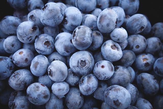 ef3cb10f2ff61c3e81584d04ee44408be272e6d41fb318499cf3_640_Blueberries