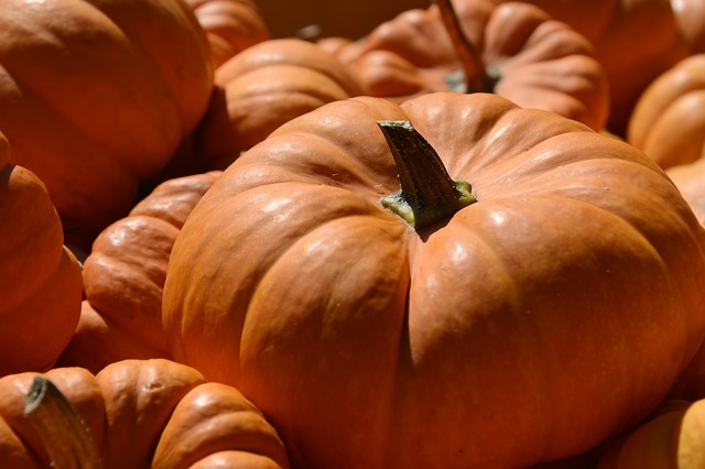 propiedades nutricionales de la calabaza asada